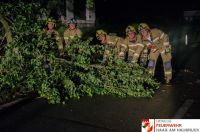 _2018-08-13 Sturmschaden Obermeggenbach__01